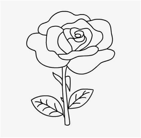 sketsa gambar bunga mawar yang mudah
